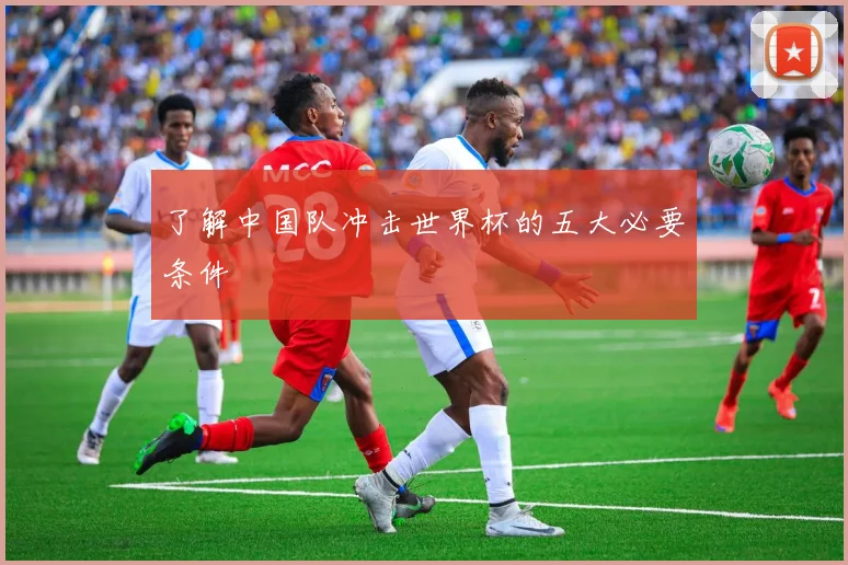 了解中国队冲击世界杯的五大必要条件