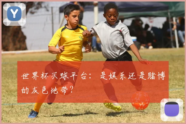 世界杯买球平台：是娱乐还是赌博的灰色地带？