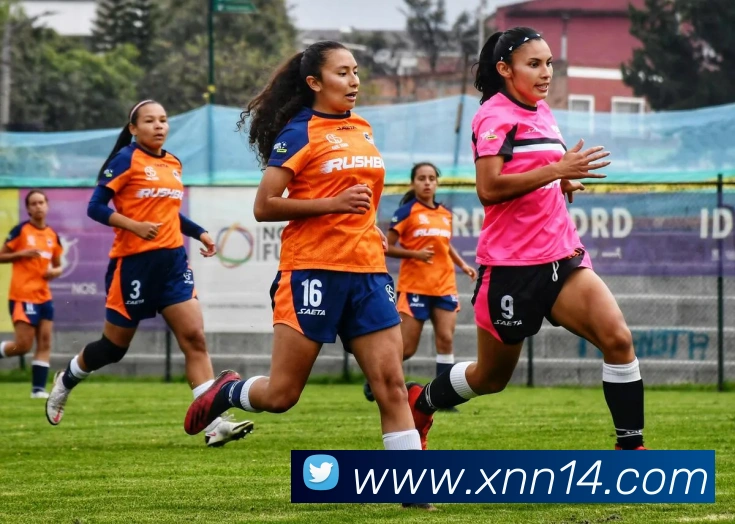 kaiyun云网页版入口品牌故事