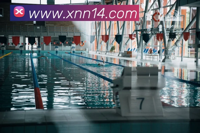 kaiyun云网页版入口服务体系